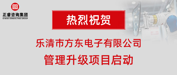 樂清市方東電子有限公司管理升級項(xiàng)目啟動(dòng)